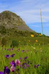 mount Gerbier-de-Jonc